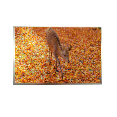 comprar 8' IPS FHD LVDS TFT Display 1000cd Luminancia 1920*1200 Resolución online manufacture