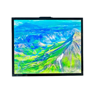 comprar T-CON TFT LCD Modulo TFT Pantalla de 19 pulgadas Todos los IPS Visualización 470cd Luminancia online manufacture