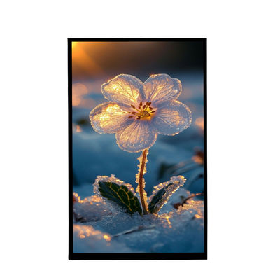 comprar 10.1 pulgadas de retrato IPS pantalla de visualización 800x1280 Resolución Tft pantalla LCD para automóvil online manufacture