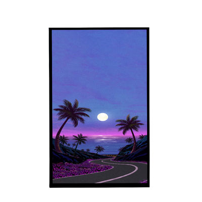 comprar 10.1 pulgadas TFT LCD Display Todos los ángulos de visión Conexión transmisora Pin 40PIN Temperatura de almacenamiento -30°C -70°C online manufacture